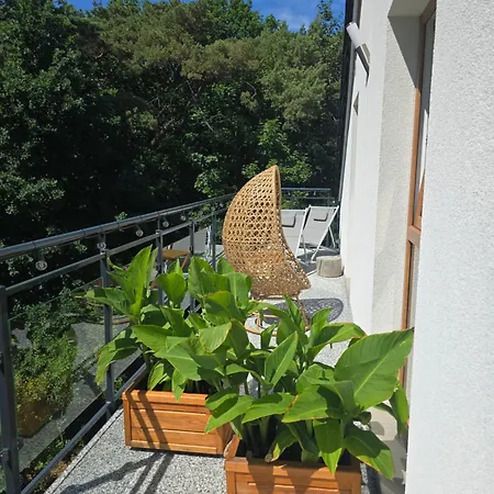 Ddc Apartment *